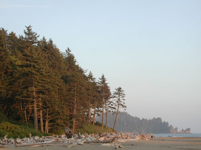 ../images/43_second_beach_trailhead.jpg