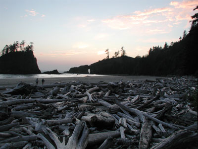 ../images/44_driftwood_second_beach.jpg