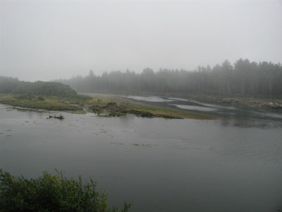 ../images/52_quillayute_river.jpg