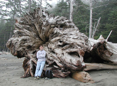 ../images/53_eric_driftwood.jpg