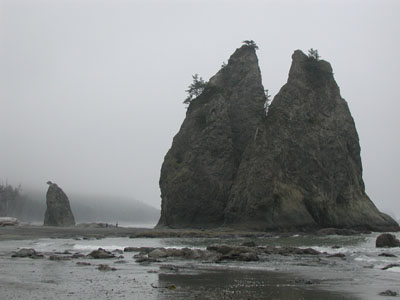 ../images/57_rialto_beach.jpg