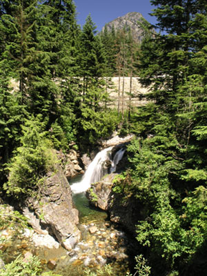 ../images/80_fallintothewall.jpg