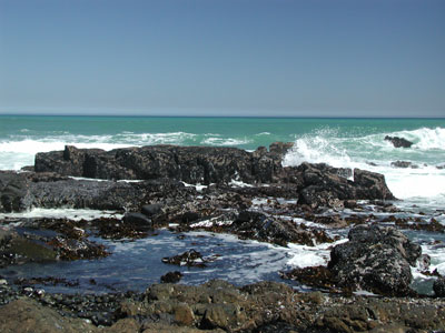 ../images/03_tidal_pools.jpg