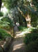 04_kirstenbosch_path