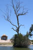 02_weavernests