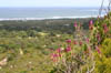 18_uphigh