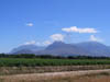 05_karoowinelands