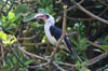 24_vonderdeckens