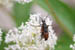 04_springlove