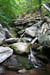 13_downstream