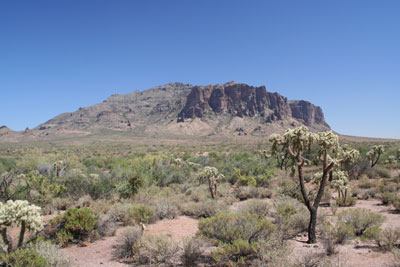 ../images/28_superstitionmtns.jpg