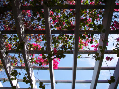 ../images/48_lattice.jpg