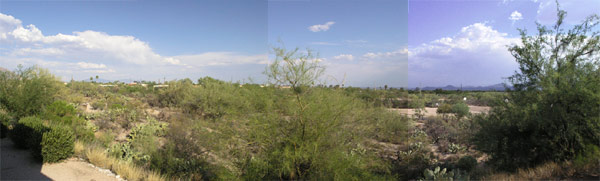 ../images/20_panorama.jpg