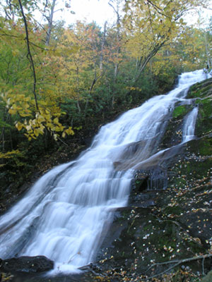 ../images/14_crabtreemiddle.jpg