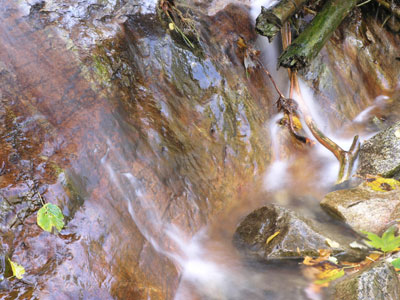 ../images/34_water.jpg