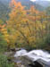 09_fallcolor