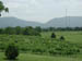 18_shenandoah_vineyards