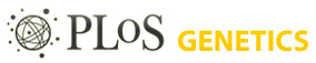 hdr_logo