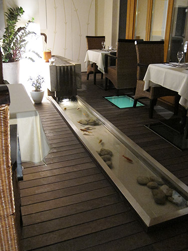 restaurant-pond