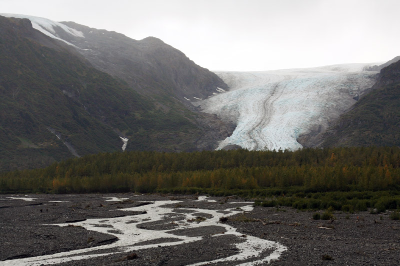 Exit Glacier