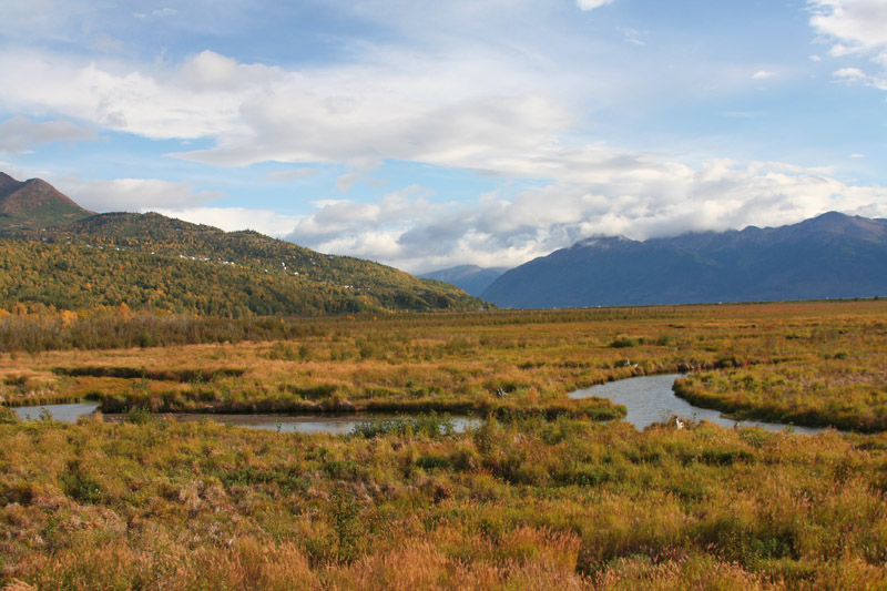 Potter's Marsh