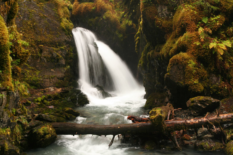 Virgin Creek Falls