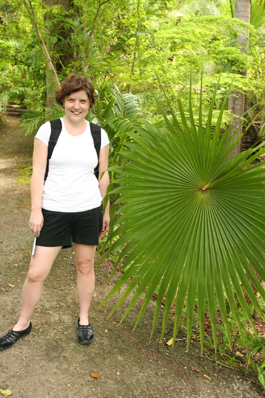 huge leaves!