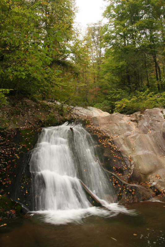 Anthony Creek Falls