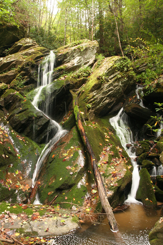 roadside falls on Anthony Creek