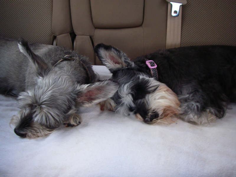 so sleepy