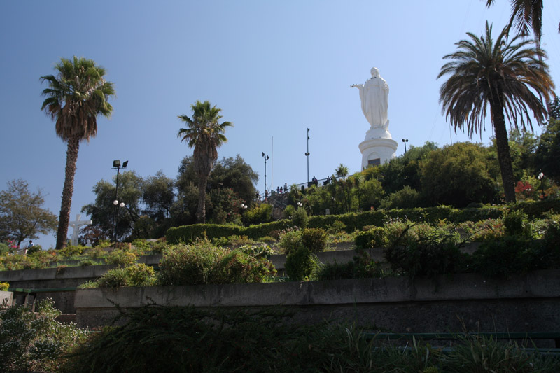Virgin Mary and palm trees