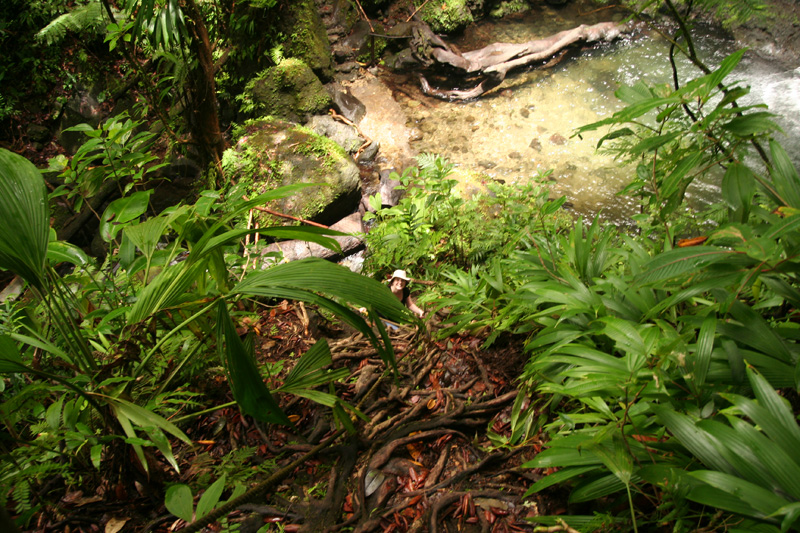 climbing to the second falls