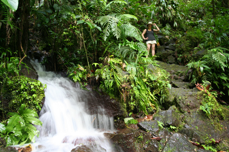small waterfall next to the Middleham Falls trail