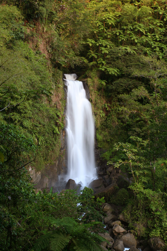 Trafalgar Falls (mother)