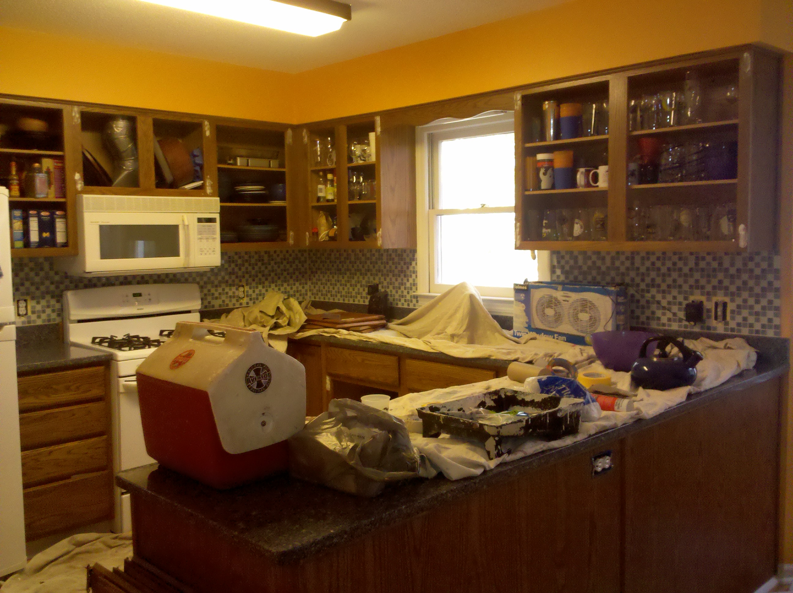 before cabinet painting begins...
