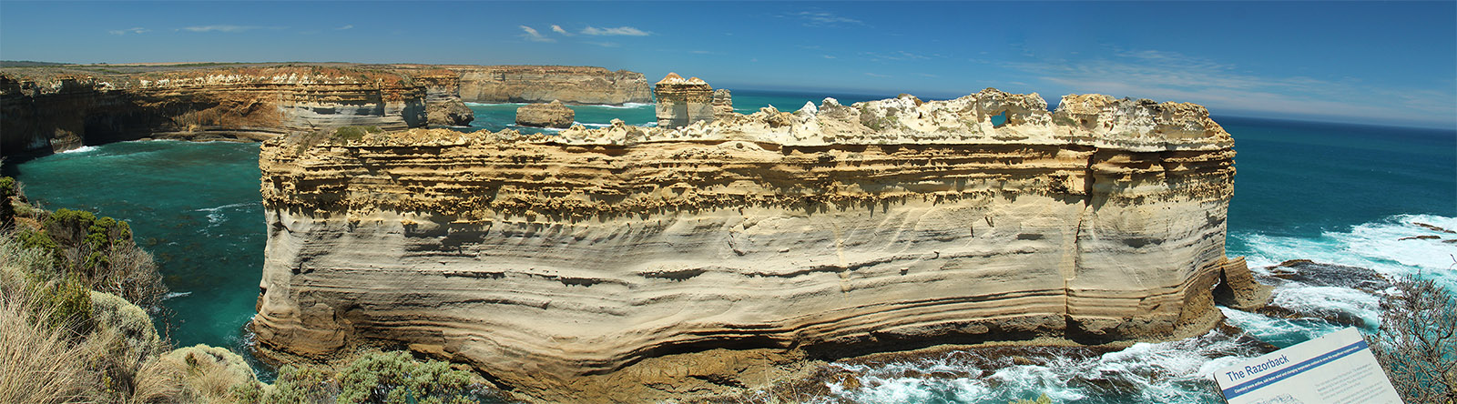 Razorback panorama