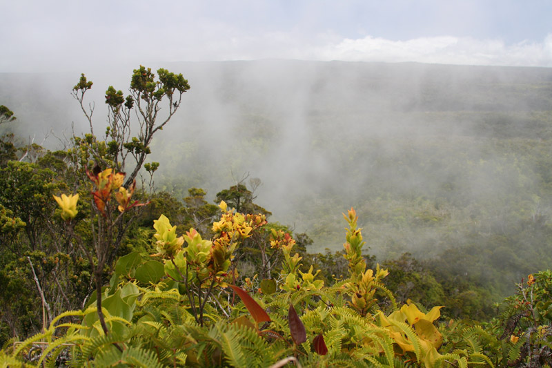a little misty at the top...