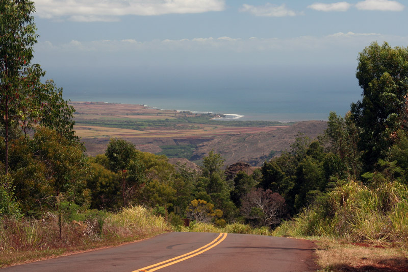 view of the coast from Waimea Canyon Road