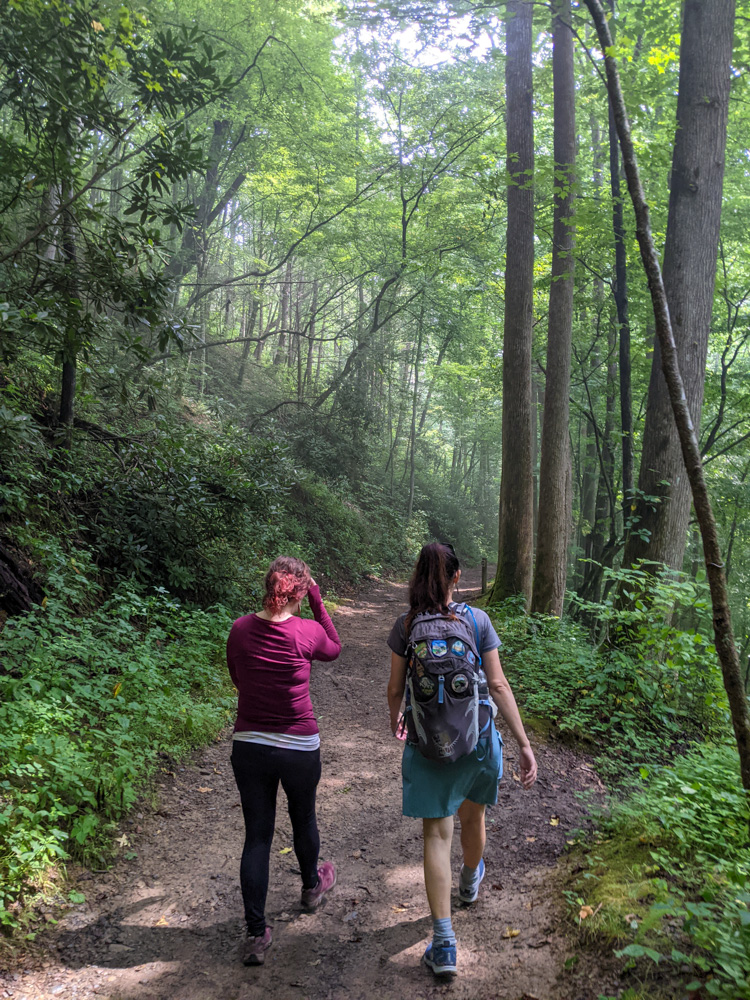 Big Creek Trail