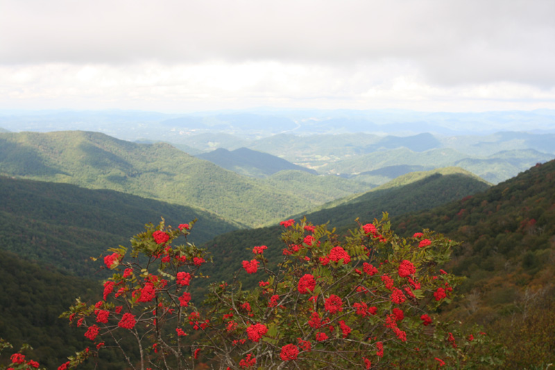 Blue Ridge Parkway looking north