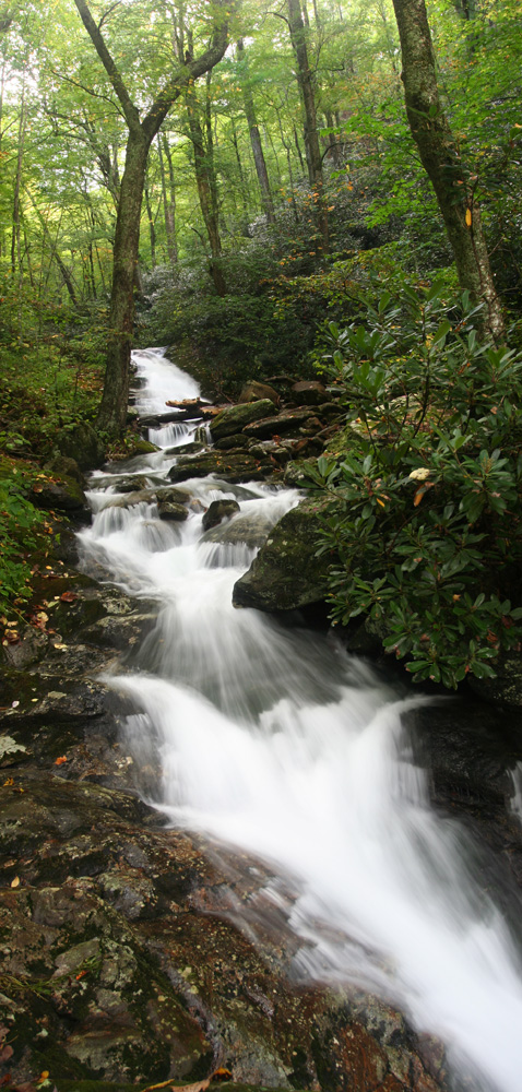 unnamed falls #2 on FR 63