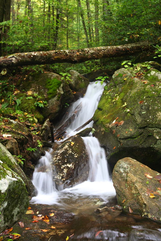unnamed falls #4 on FR 63