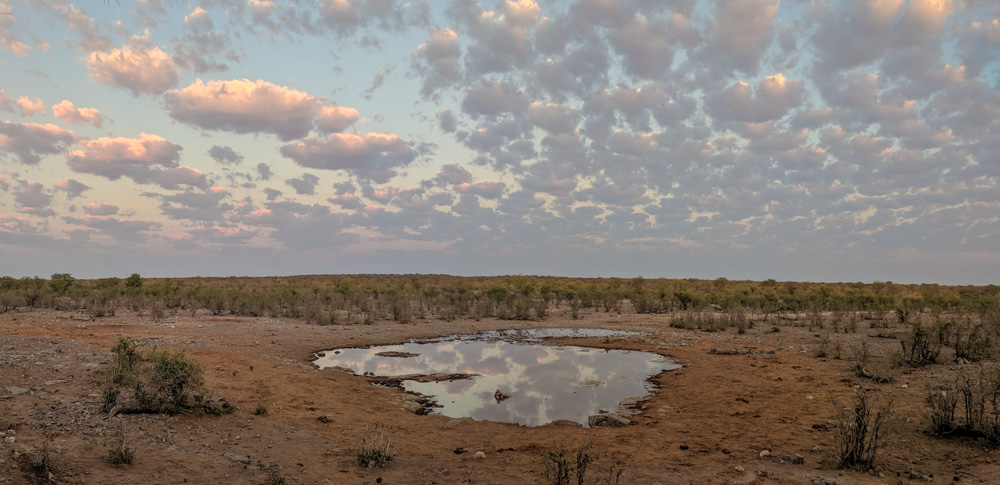 Moringa waterhole @ sunrise (no animals)