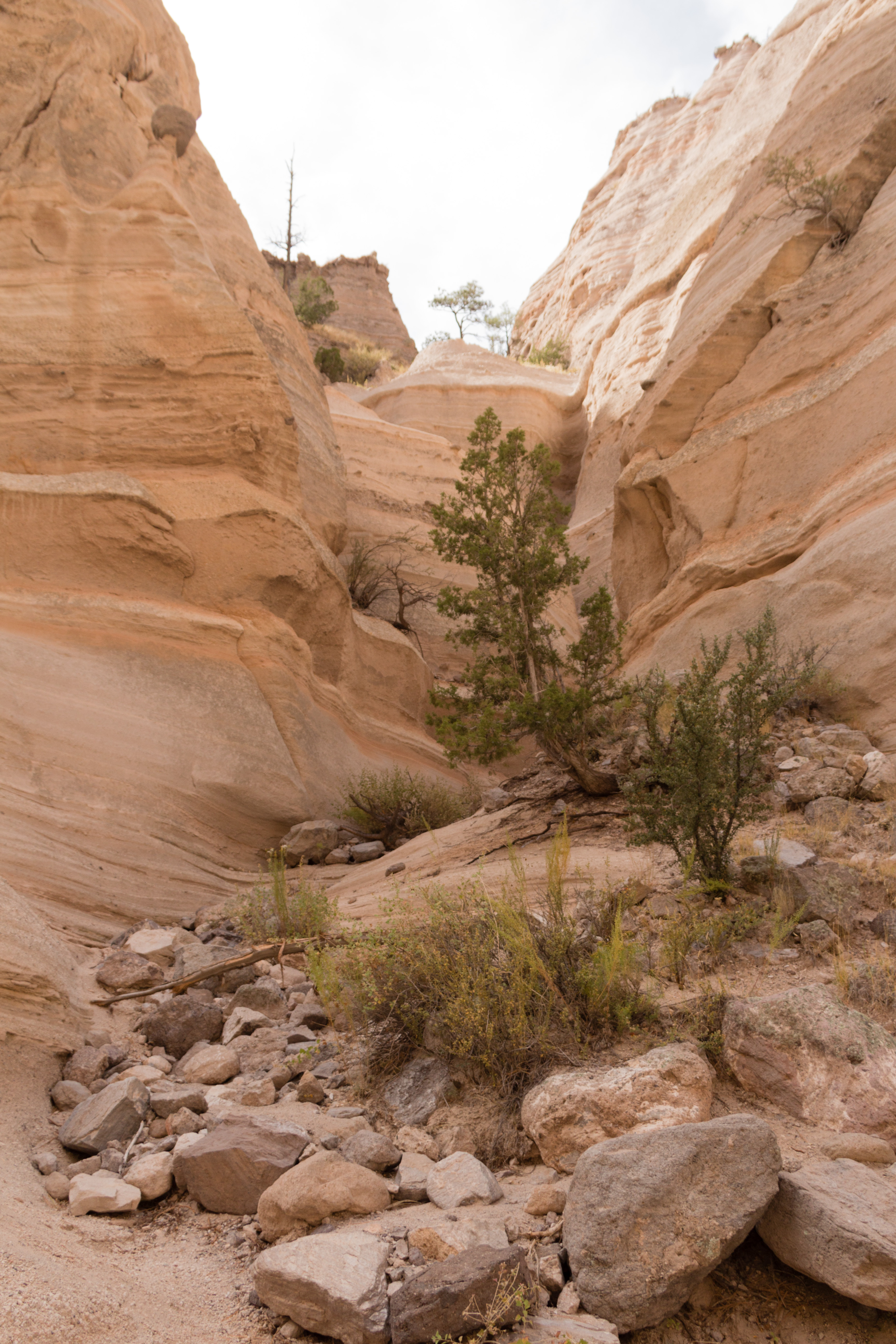 Kasha-Katuwe Tent Rocks National Monument