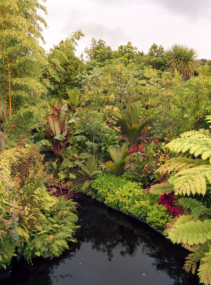 Hamilton Gardens - Tropical Garden