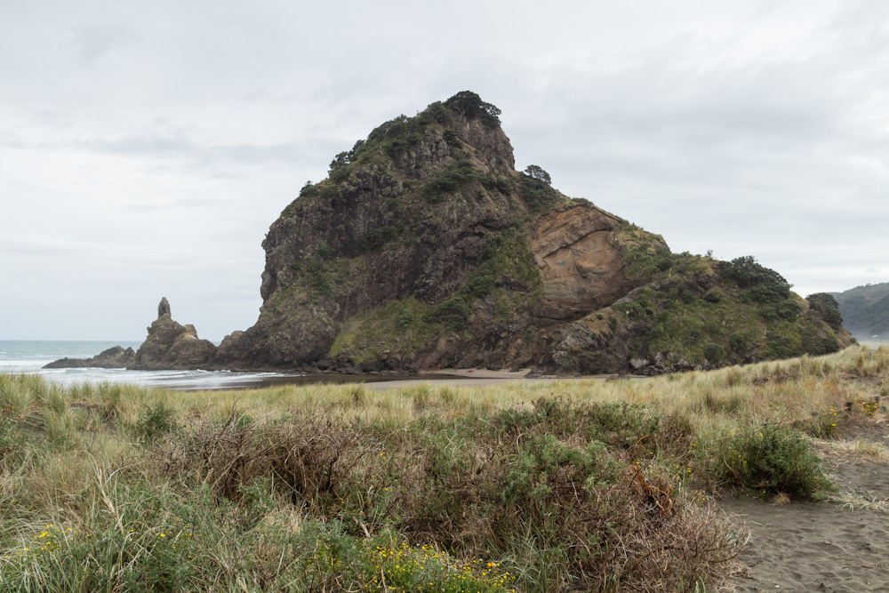 Lion Rock @ Piha Beach