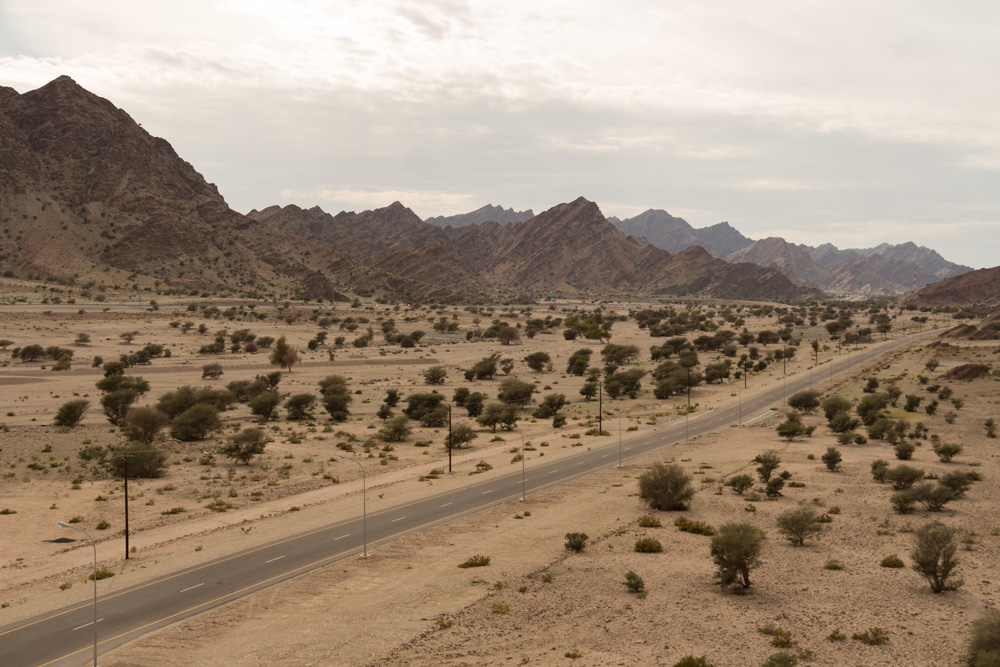 Oman landscape