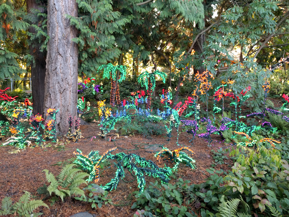 holiday lights going up @ Bellevue Botanical Garden