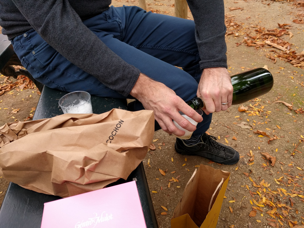 pouring champagne in the park