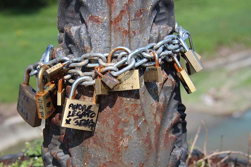 tree locks